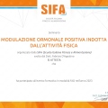 Ingrandire l'immagine: certificate 2