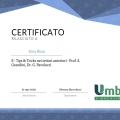 Ingrandire l'immagine: certificate 3