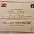 Ingrandire l'immagine: certificate 3