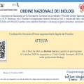 Ingrandire l'immagine: certificate 2