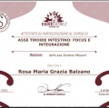 Ingrandire l'immagine: certificate 4
