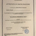 Ingrandire l'immagine: certificate 2