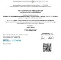Ingrandire l'immagine: certificate 4