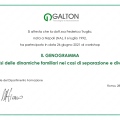 Ingrandire l'immagine: certificate 5