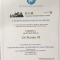 Ingrandire l'immagine: certificate 3