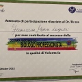 Ingrandire l'immagine: certificate 16