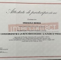 Ingrandire l'immagine: certificate 10