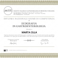 Ingrandire l'immagine: certificate 1