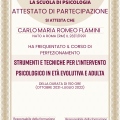 Ingrandire l'immagine: certificate 1