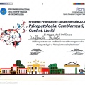 Ingrandire l'immagine: certificate 6