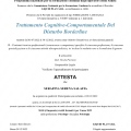 Ingrandire l'immagine: certificate 8