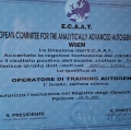 Ingrandire l'immagine: certificate 3