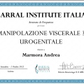 Ingrandire l'immagine: certificate 3