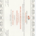 Ingrandire l'immagine: certificate 2