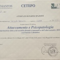 Ingrandire l'immagine: certificate 4
