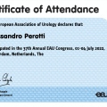Ingrandire l'immagine: certificate 2