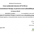 Ingrandire l'immagine: certificate 1