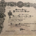 Ingrandire l'immagine: certificate 1