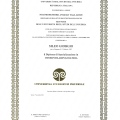 Ingrandire l'immagine: certificate 2