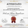 Ingrandire l'immagine: certificate 1