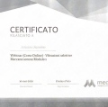 Ingrandire l'immagine: certificate 12