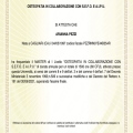 Ingrandire l'immagine: certificate 11
