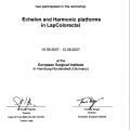 Ingrandire l'immagine: certificate 3