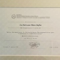 Ingrandire l'immagine: certificate 2