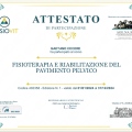 Ingrandire l'immagine: certificate 4