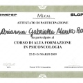 Ingrandire l'immagine: certificate 8