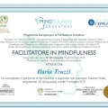 Ingrandire l'immagine: certificate 2