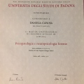 Ingrandire l'immagine: certificate 4
