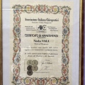 Ingrandire l'immagine: certificate 1