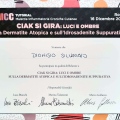 Ingrandire l'immagine: certificate 6