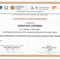 Ingrandire l'immagine: certificate 7