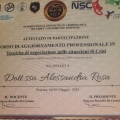 Ingrandire l'immagine: certificate 1