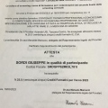 Ingrandire l'immagine: certificate 14