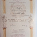 Ingrandire l'immagine: certificate 2