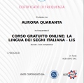 Ingrandire l'immagine: certificate 1