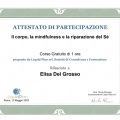 Ingrandire l'immagine: certificate 12