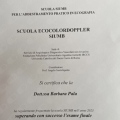 Ingrandire l'immagine: certificate 1