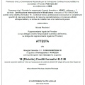 Ingrandire l'immagine: certificate 8
