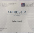 Ingrandire l'immagine: certificate 1