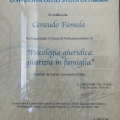 Ingrandire l'immagine: certificate 8