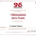 Ingrandire l'immagine: certificate 9