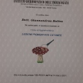 Ingrandire l'immagine: certificate 9