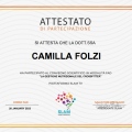Ingrandire l'immagine: certificate 1