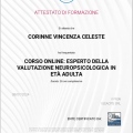 Ingrandire l'immagine: certificate 2