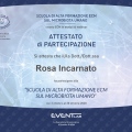 Ingrandire l'immagine: certificate 6
