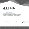 Ingrandire l'immagine: certificate 6